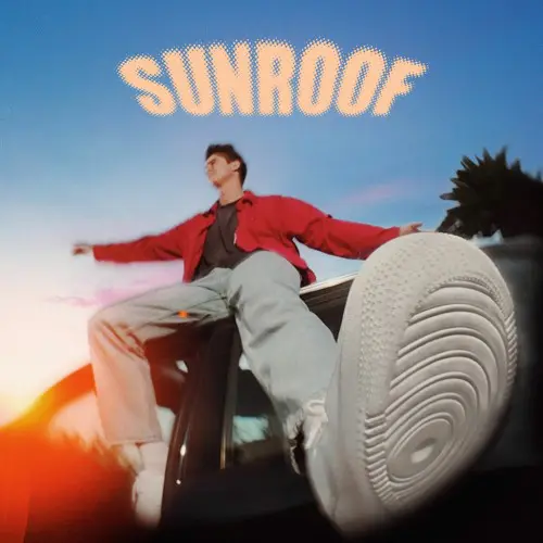 Nicky Youre - Sunroof - Album art